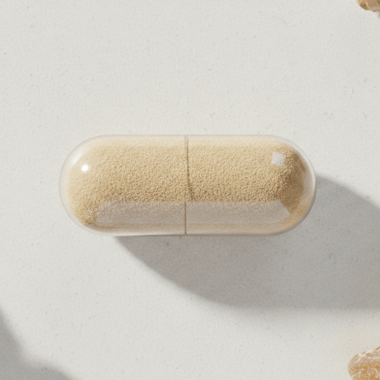 Single Ginger+ Mastic capsule